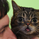 Illustration for article titled Beautiful Meow-sic: Lil BUB Is Releasing a Full-Length Album